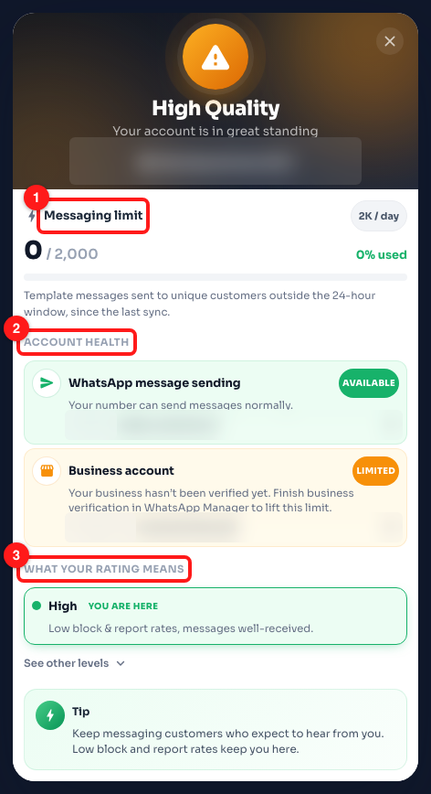 Step 10 — (1) messaging limit and usage, (2) account health, (3) what your rating means. The channel name and the WABA and Business IDs are blurred.