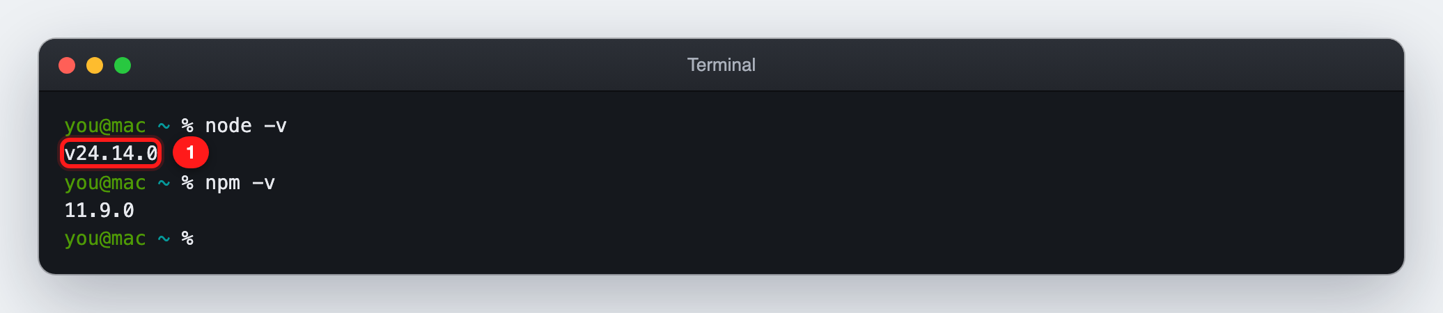 ① The version must be v18 or higher. If the command is not found or the version is lower, install the LTS version from nodejs.org first.