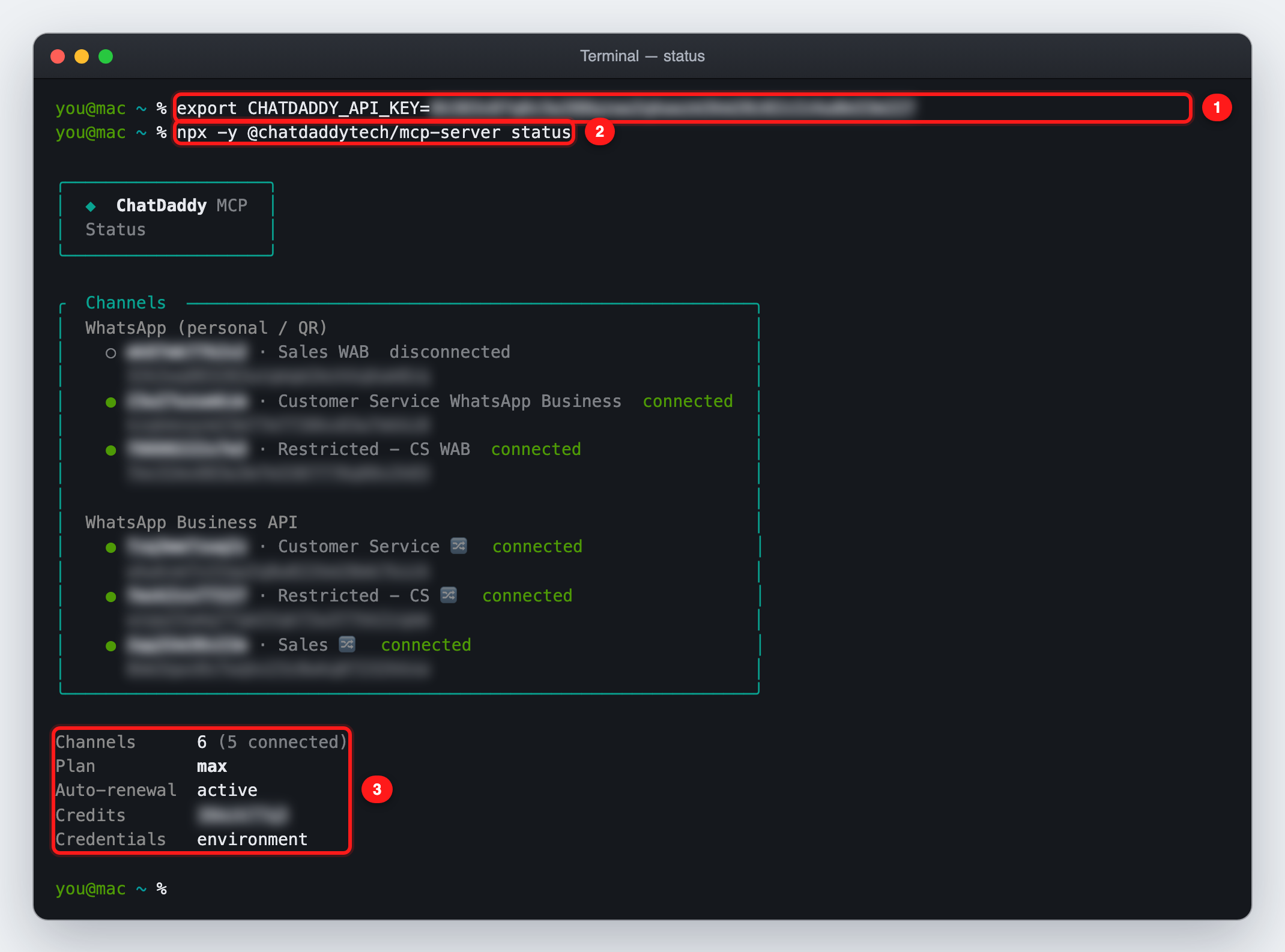 ① Token set for this terminal session ② status command ③ Summary: channels, plan, auto-renewal, credits and where the credentials came from