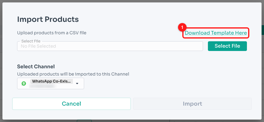 Step 4 — the products template link in the Import Products window (1).