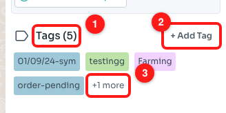 Step 2 — the tag count in the heading (1), the + Add Tag button (2), and the “+1 more” link that opens All Tags (3).