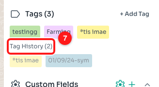 Step 5 — Tag History lists tags that were removed, in faded chips (7). This contact has three current tags and two removed ones.