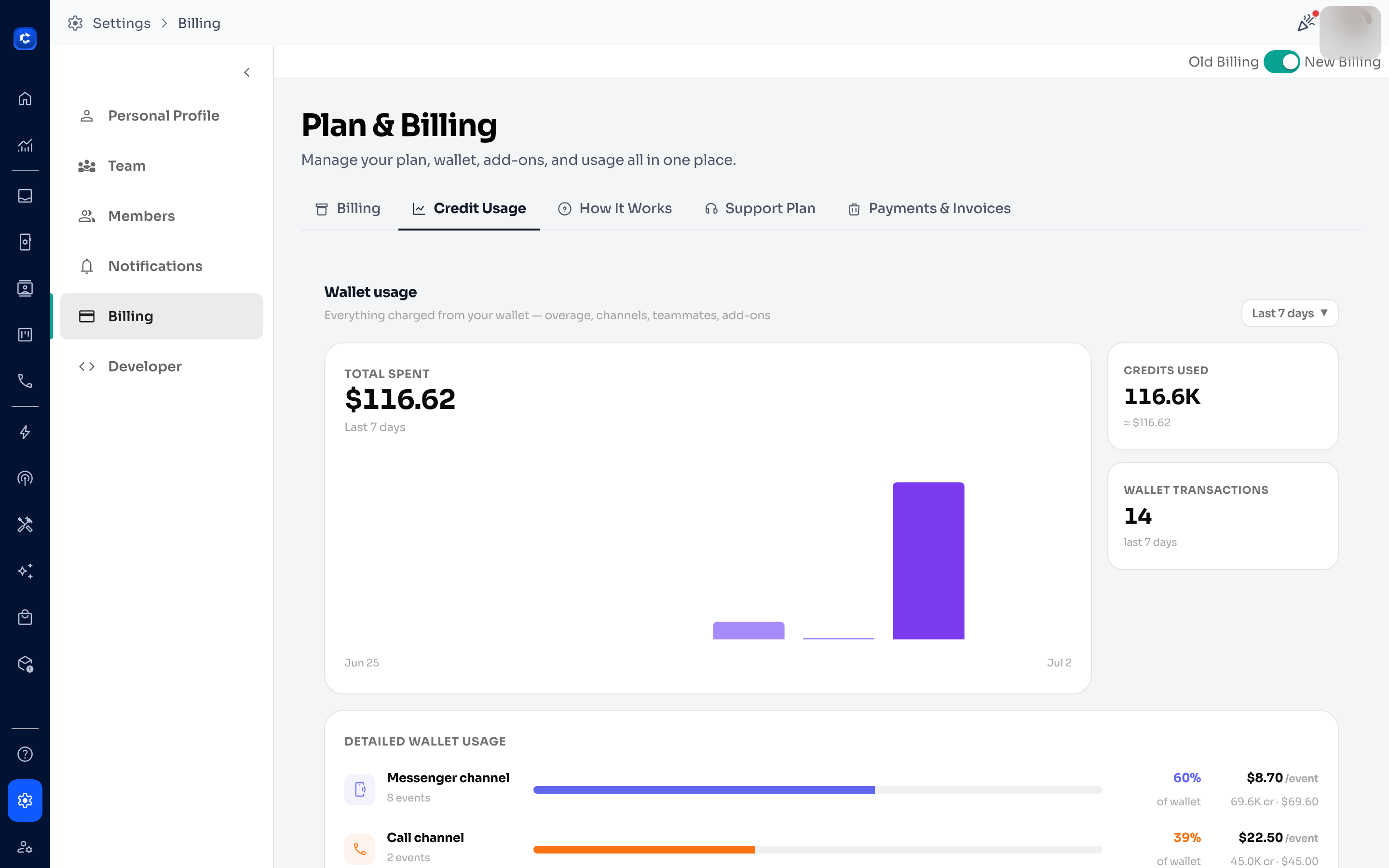 The Credit Usage tab: a real-time, itemised breakdown of wallet spend.