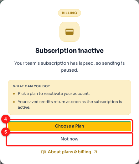 Step 3 — Choose a Plan (4) opens the Billing page; Not now (5) just closes the dialog.