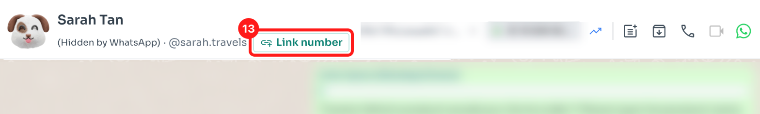 Step 13 — the Link number button sits next to "(Hidden by WhatsApp)" in the chat header